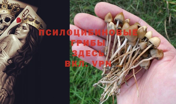 синтетический гашиш Новозыбков